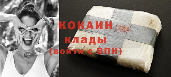 гидра Богданович
