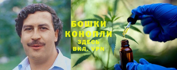 прущие грибы Белокуриха