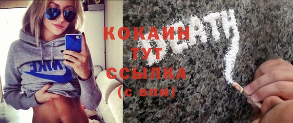 гидра Богданович
