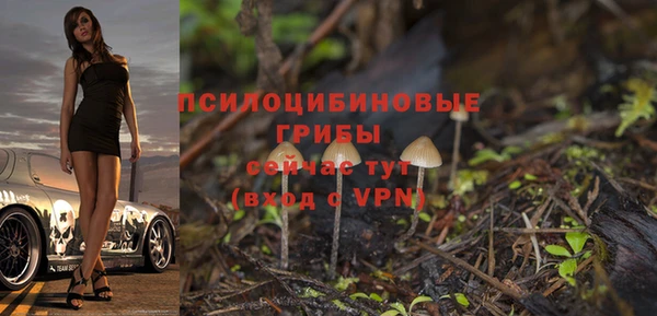 прущие грибы Белокуриха