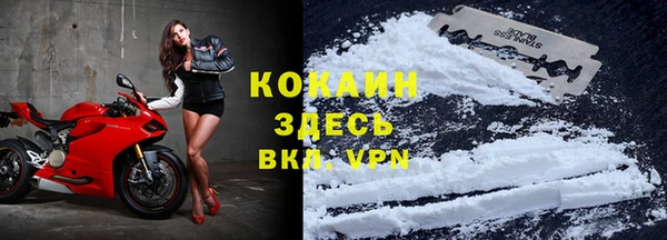 соль ск Богородицк