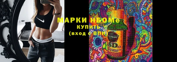 прущие грибы Белокуриха