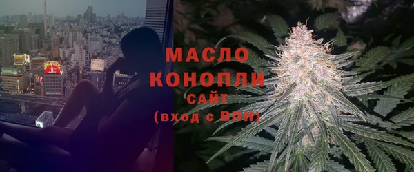 гидра Богданович